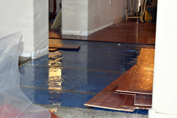 Professional Basement Water Removal technician working in Athol, ID